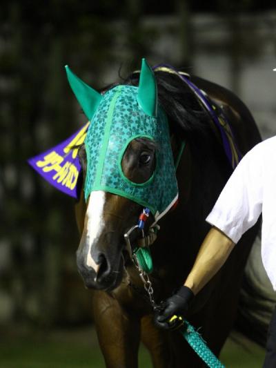 ファイル 498-4.jpg