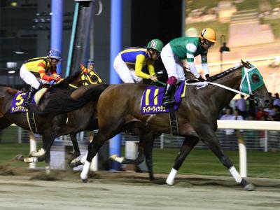 ファイル 498-5.jpg