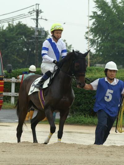 ファイル 5-1.jpg