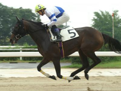 ファイル 5-2.jpg