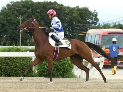 ファイル 5-3.jpg