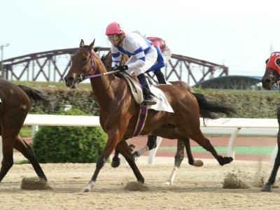 ファイル 5-4.jpg