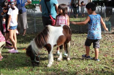 ファイル 501-3.jpg