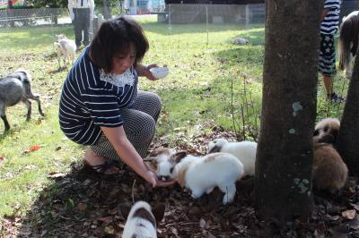 ファイル 501-5.jpg