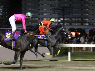 ファイル 503-2.jpg