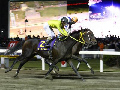 ファイル 503-4.jpg