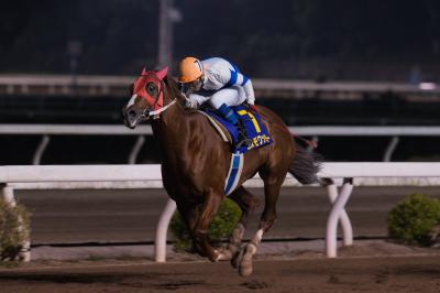 ファイル 504-1.jpg