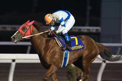 ファイル 504-2.jpg