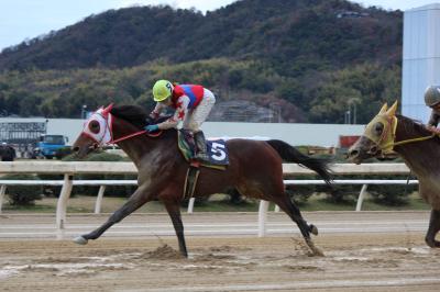 ファイル 507-1.jpg