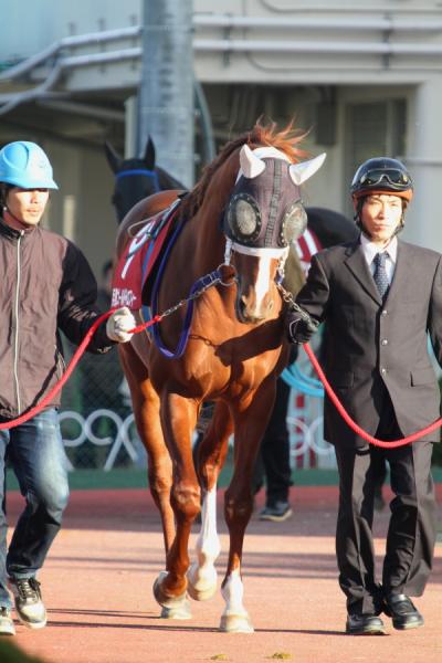 ファイル 508-1.jpg