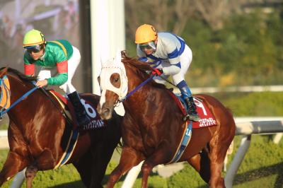 ファイル 508-3.jpg