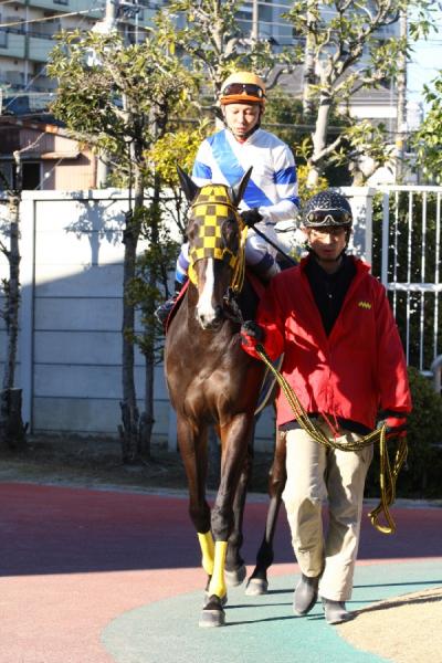 ファイル 509-3.jpg