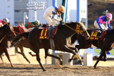 ファイル 510-1.jpg