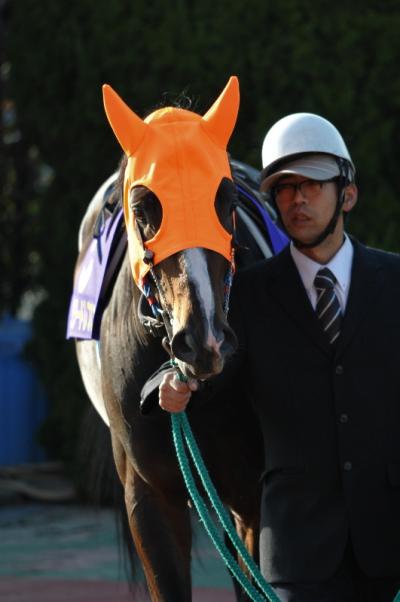 ファイル 511-1.jpg