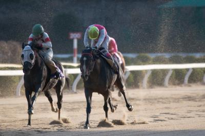 ファイル 511-3.jpg