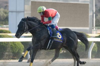 ファイル 512-2.jpg