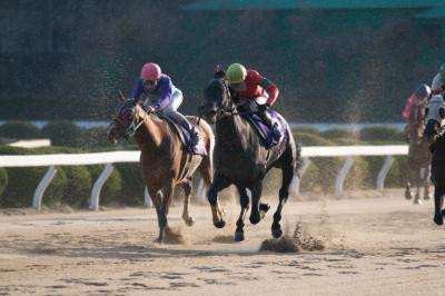 ファイル 512-3.jpg