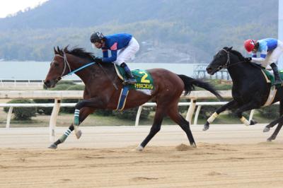 ファイル 513-1.jpg