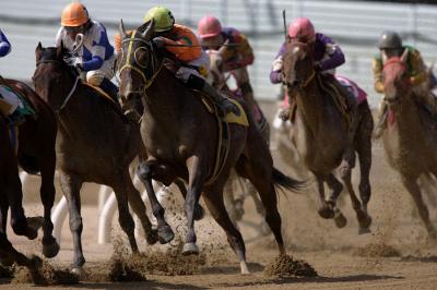 ファイル 514-1.jpg