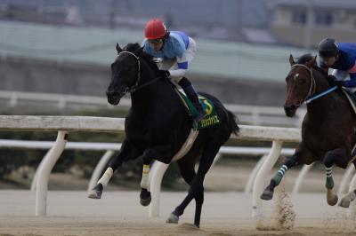 ファイル 514-3.jpg