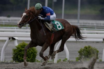 ファイル 515-1.jpg