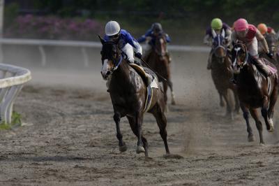 ファイル 515-5.jpg