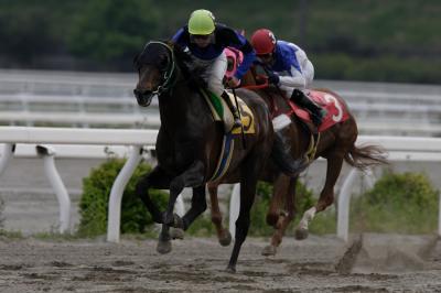 ファイル 516-2.jpg