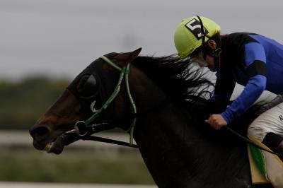 ファイル 516-3.jpg