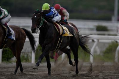 ファイル 516-4.jpg