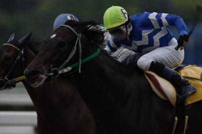 ファイル 516-5.jpg