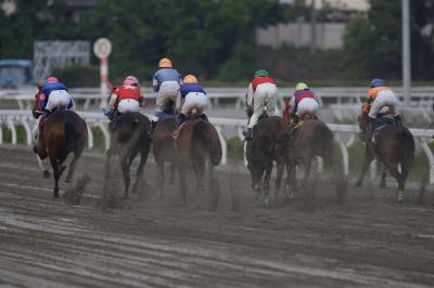 ファイル 517-2.jpg