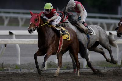 ファイル 517-4.jpg