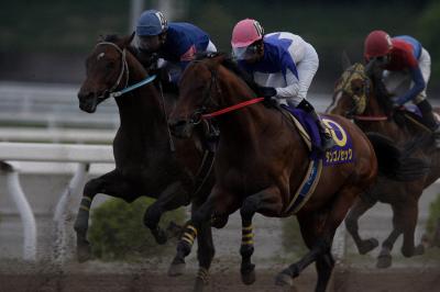 ファイル 518-1.jpg