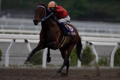 ファイル 518-2.jpg