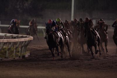 ファイル 519-3.jpg