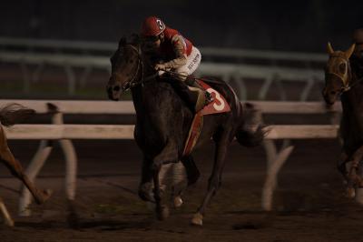 ファイル 519-4.jpg