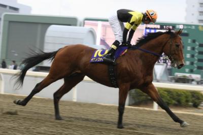 ファイル 52-3.jpg