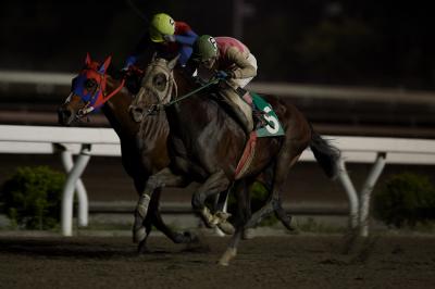 ファイル 520-3.jpg