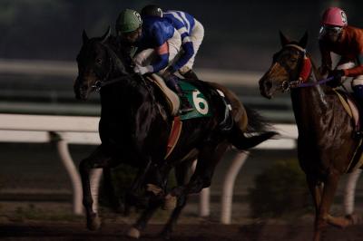 ファイル 520-4.jpg