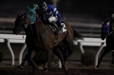 ファイル 520-5.jpg