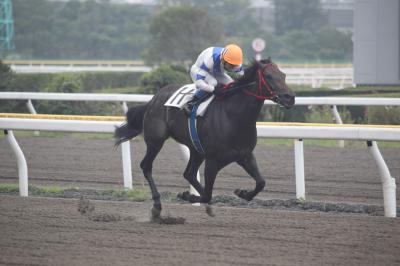 ファイル 522-3.jpg