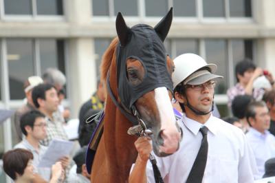 ファイル 523-2.jpg