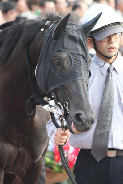 ファイル 524-4.jpg