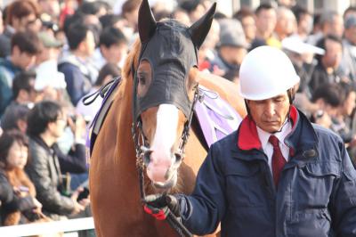 ファイル 524-5.jpg