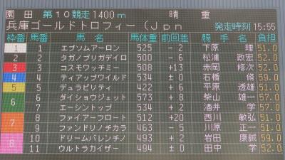 ファイル 525-1.jpg