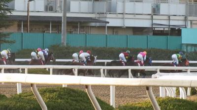 ファイル 525-2.jpg