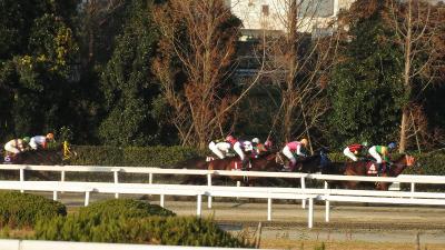 ファイル 525-3.jpg