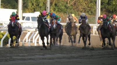 ファイル 525-4.jpg