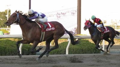 ファイル 525-5.jpg