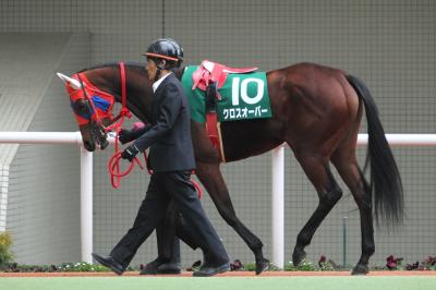 ファイル 529-1.jpg